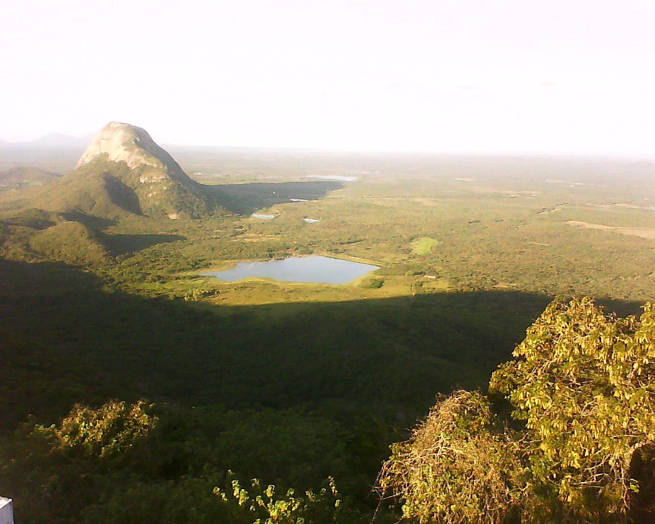 ECOLOGIA DE COMUNIDADES I - Turma A