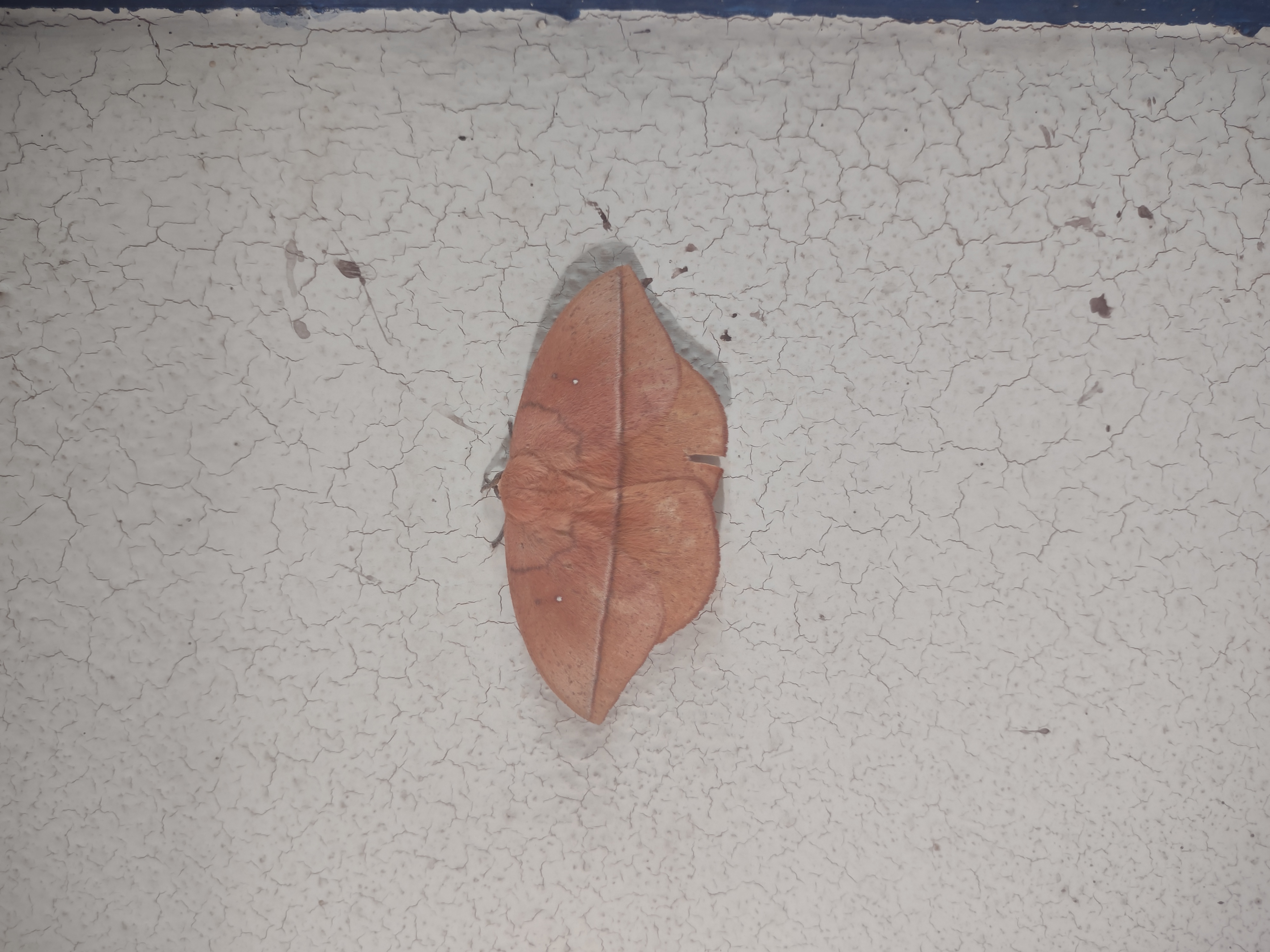 LINGUÍSTICA E LÍNGUA PORTUGUESA - Turma B