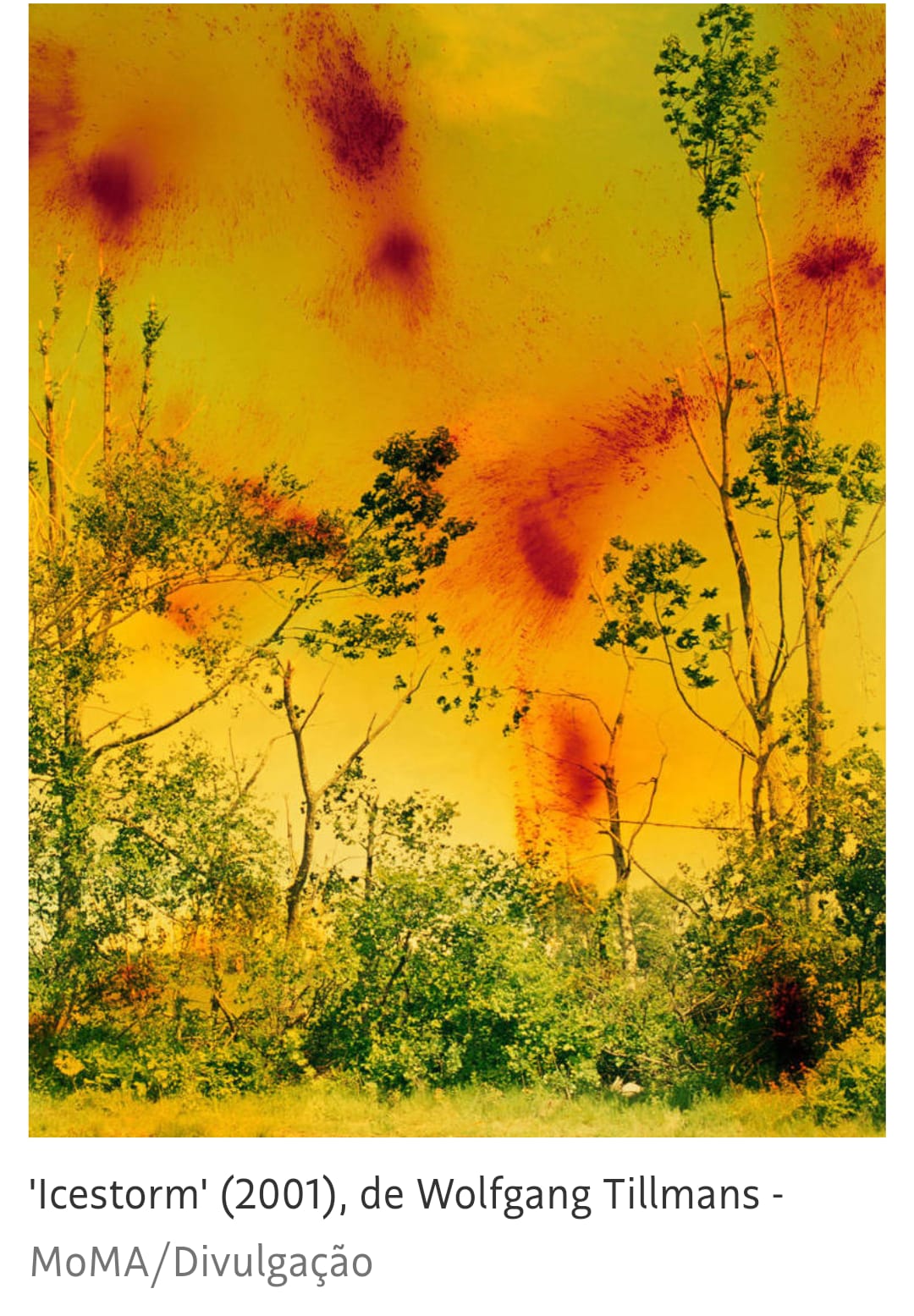 LINGUÍSTICA E LÍNGUA PORTUGUESA - Turma A