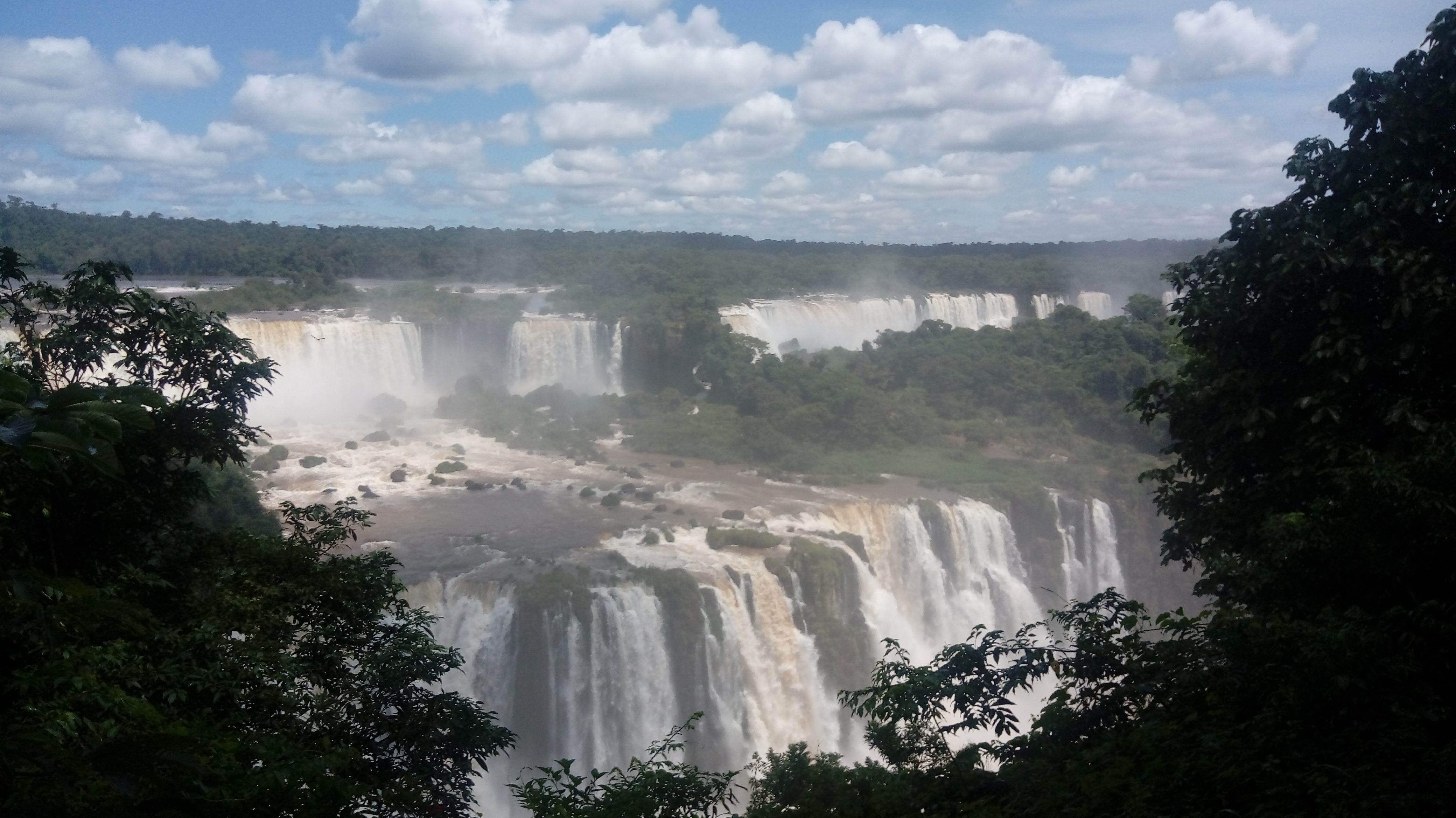 ECOLOGIA DE COMUNIDADES I - Turma A