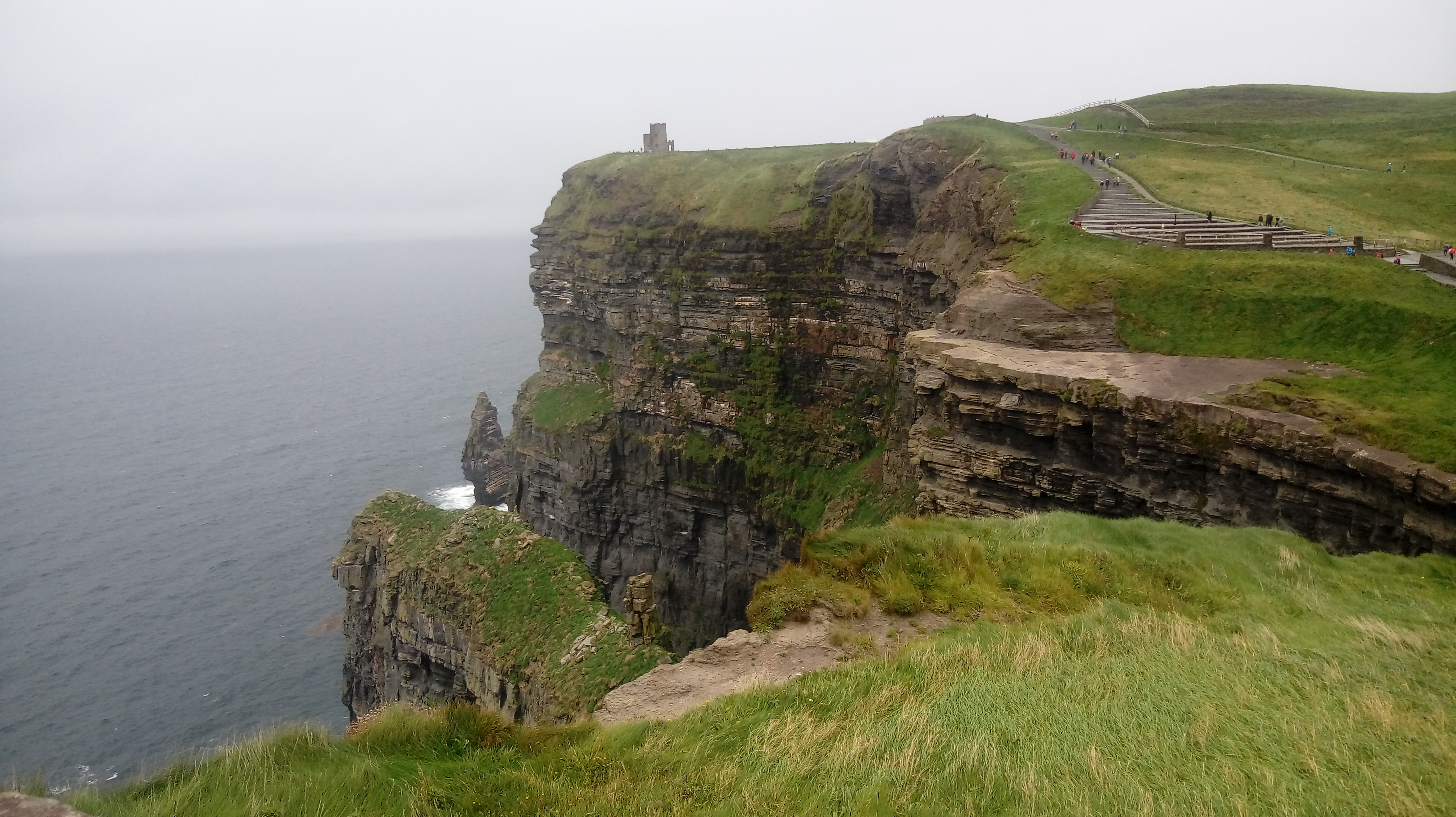 ECOLOGIA DE COMUNIDADES I - Turma B