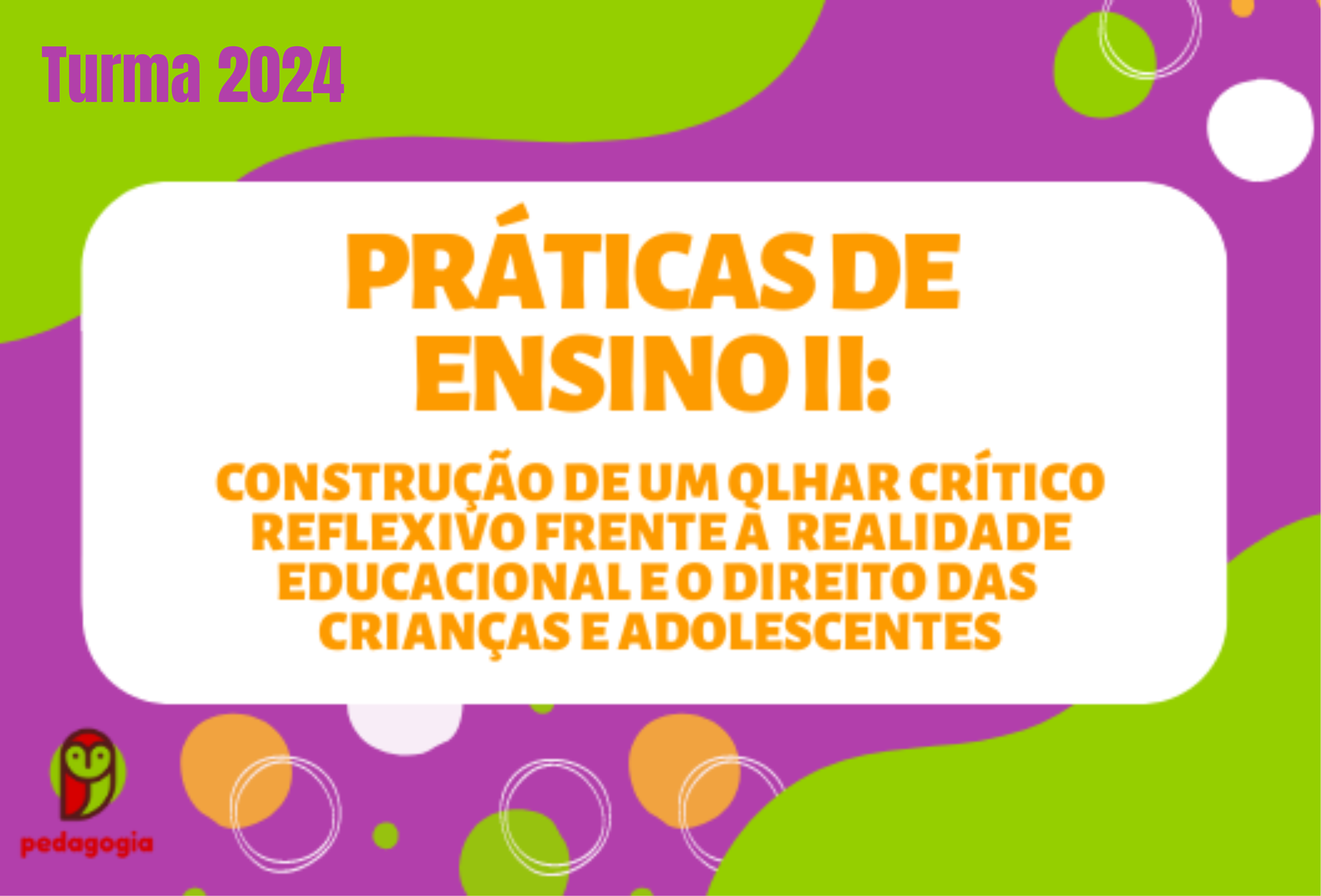 Práticas de Ensino II – construção de um olhar crítico-reflexivo frente à realidade educacional e o direito das crianças e adolescentes (Turma 2024)
