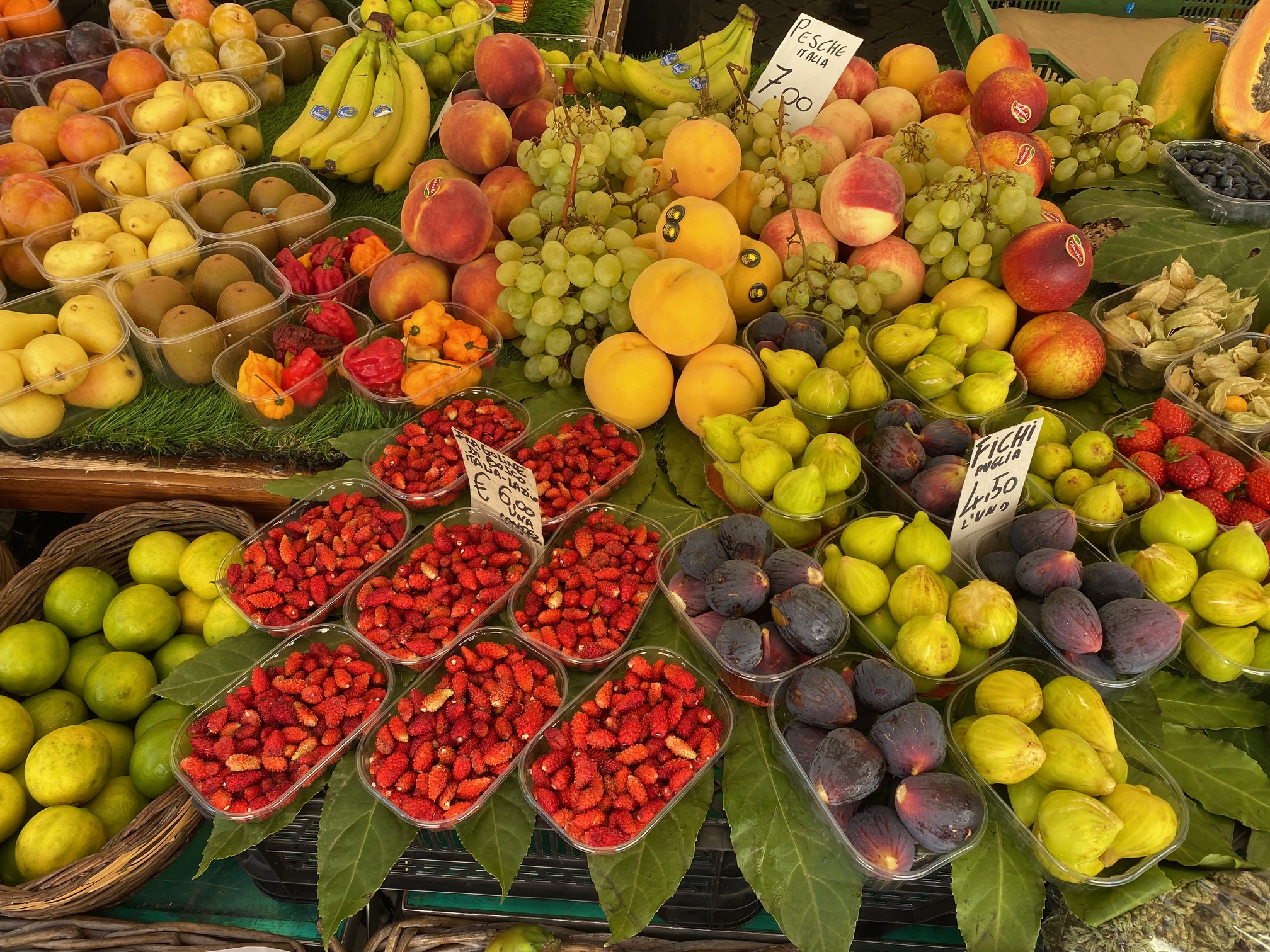 FRUTICULTURA - 2025/1