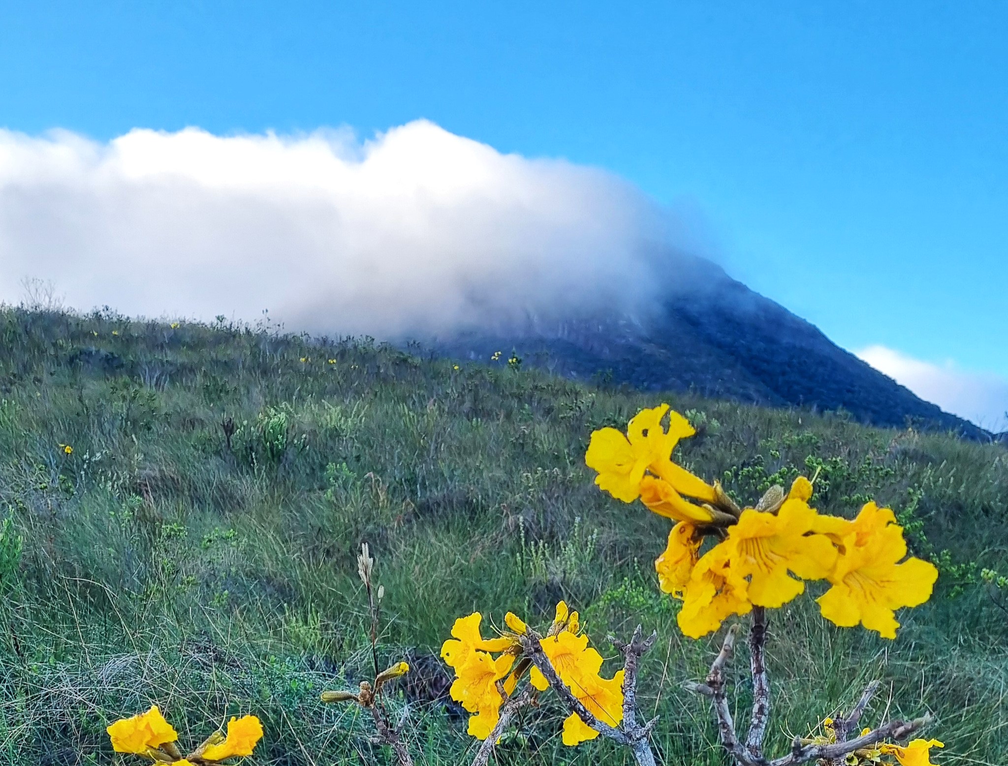 CARACTERIZAÇÃO DO MEIO FÍSICO I: CLIMATOLOGIA E HIDROGRAFIA - Turma A