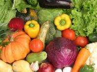 FITOTECNIA I - OLERICULTURA - Turma A