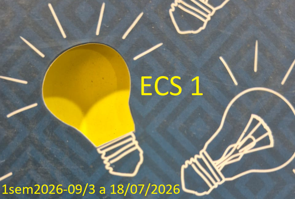 ESTÁGIO CURRICULAR SUPERVISIONADO 1 - 1/2026