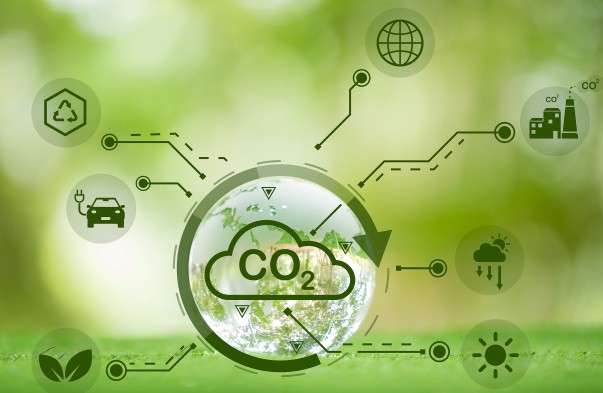 Tópicos em Ciências Ambientais 2: Instrumentos Para Certificação de Créditos de Carbono - Turma A