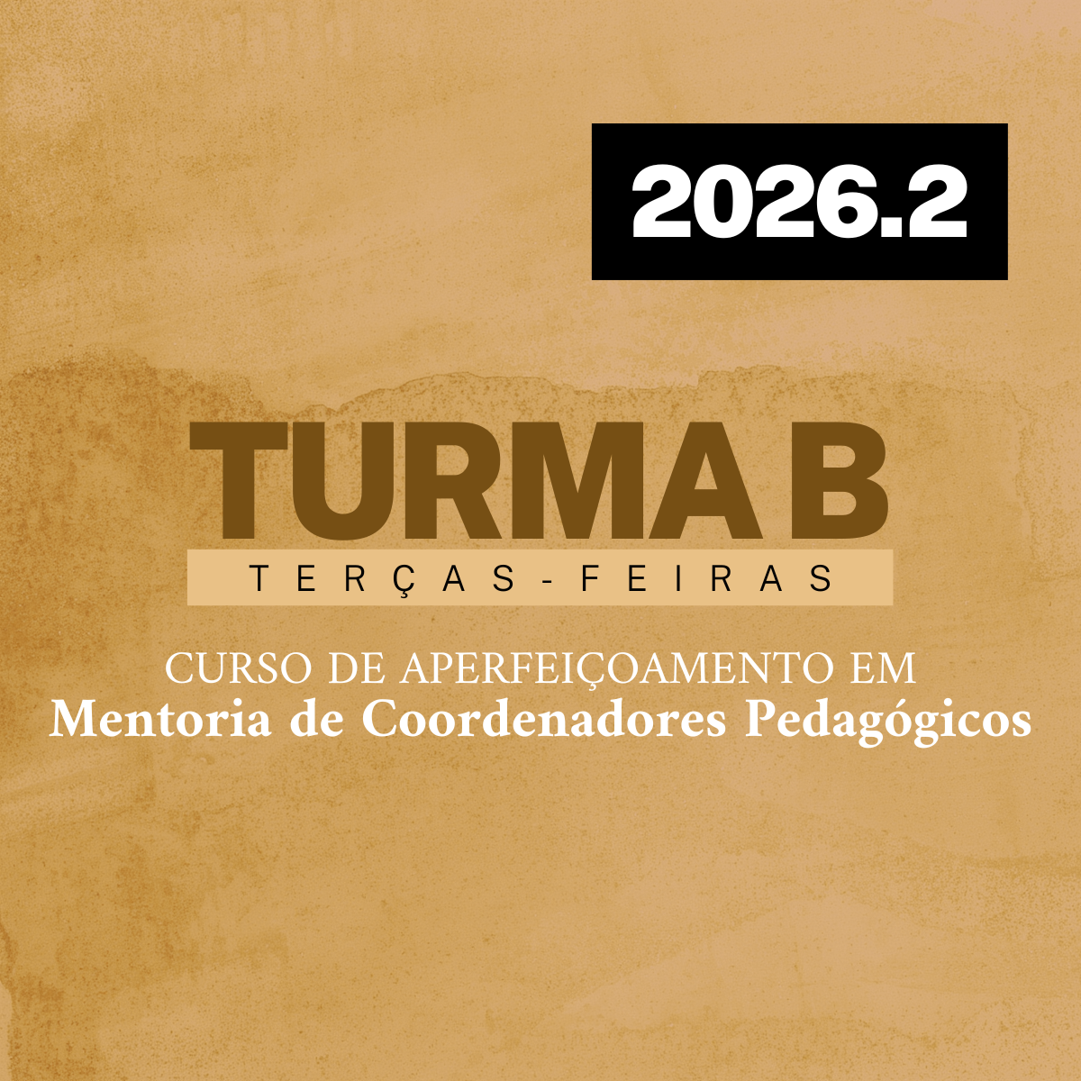 [TURMA B] Curso de Aperfeiçoamento em Mentoria de Coordenadores Pedagógicos (2026/2)