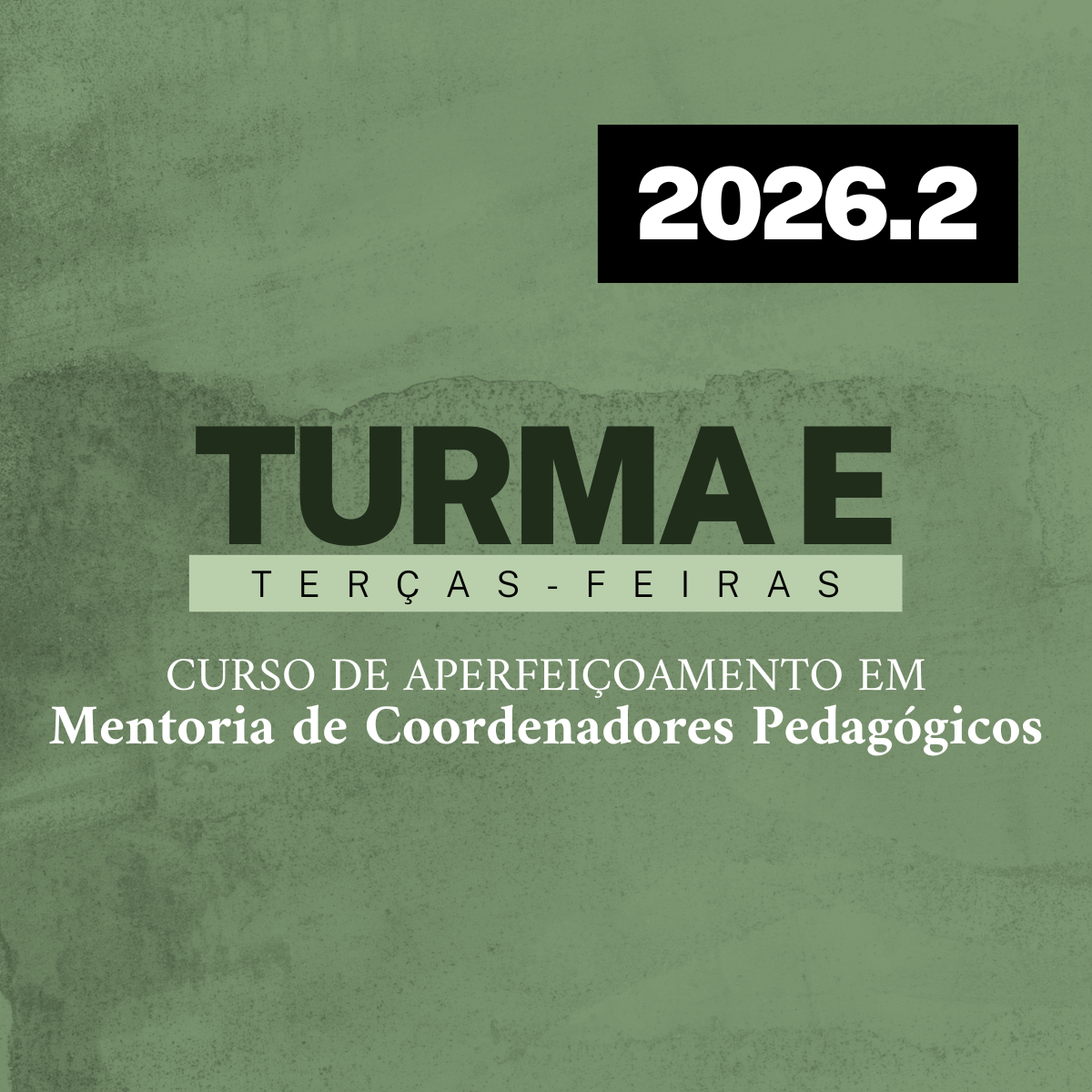 [TURMA E] Curso de Aperfeiçoamento em Mentoria de Coordenadores Pedagógicos (2026/2)
